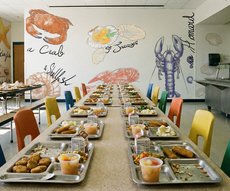 Les petits habitants du rivage