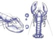 Mr et Mme Homard