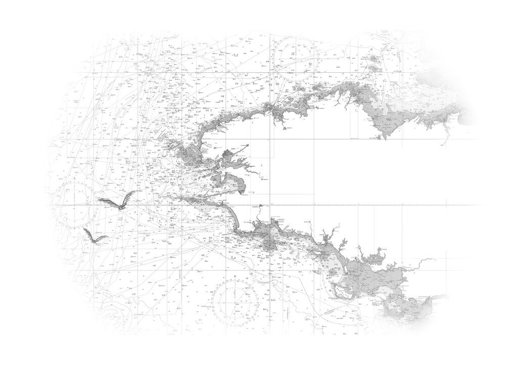 papier peint Carte blanche