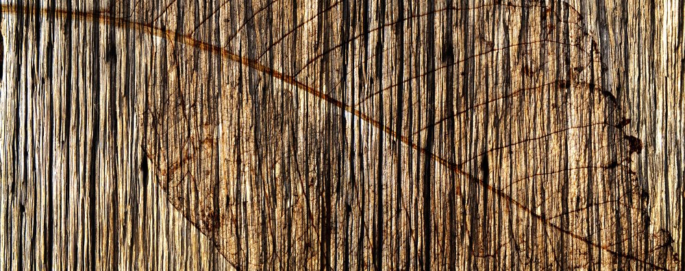 wallpaper representing a leaf on a wooden panel