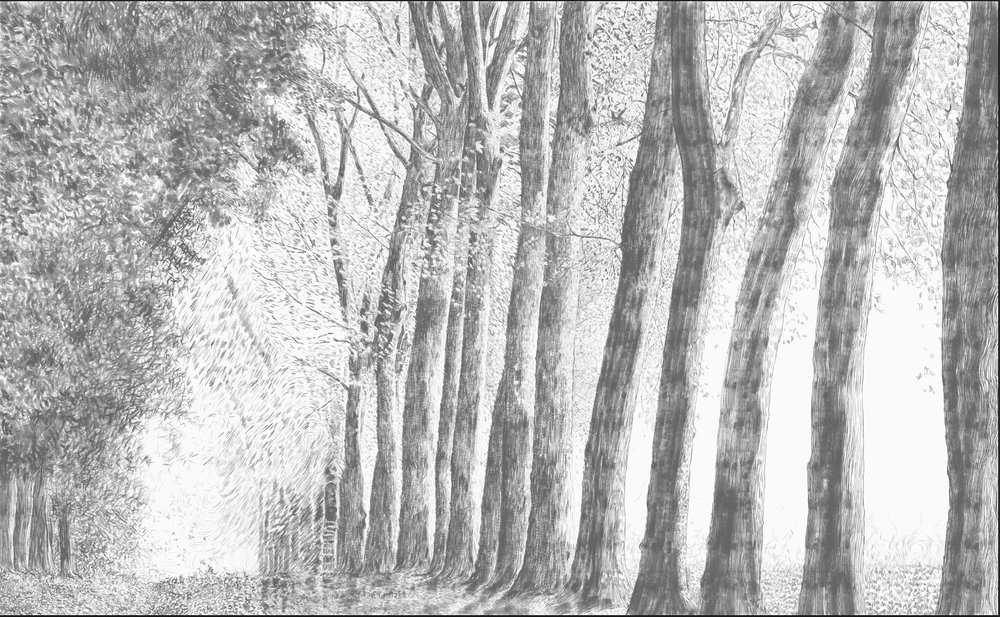 forêt au crayon gris