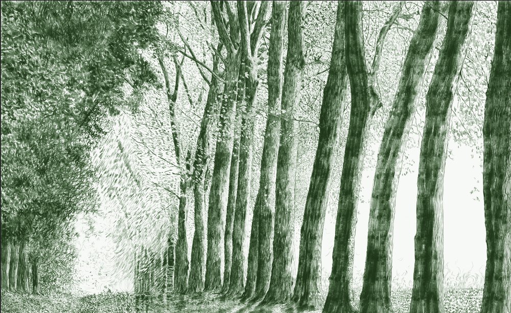 forêt au crayon vert