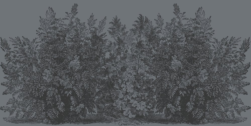 dark gray bush wallpaper