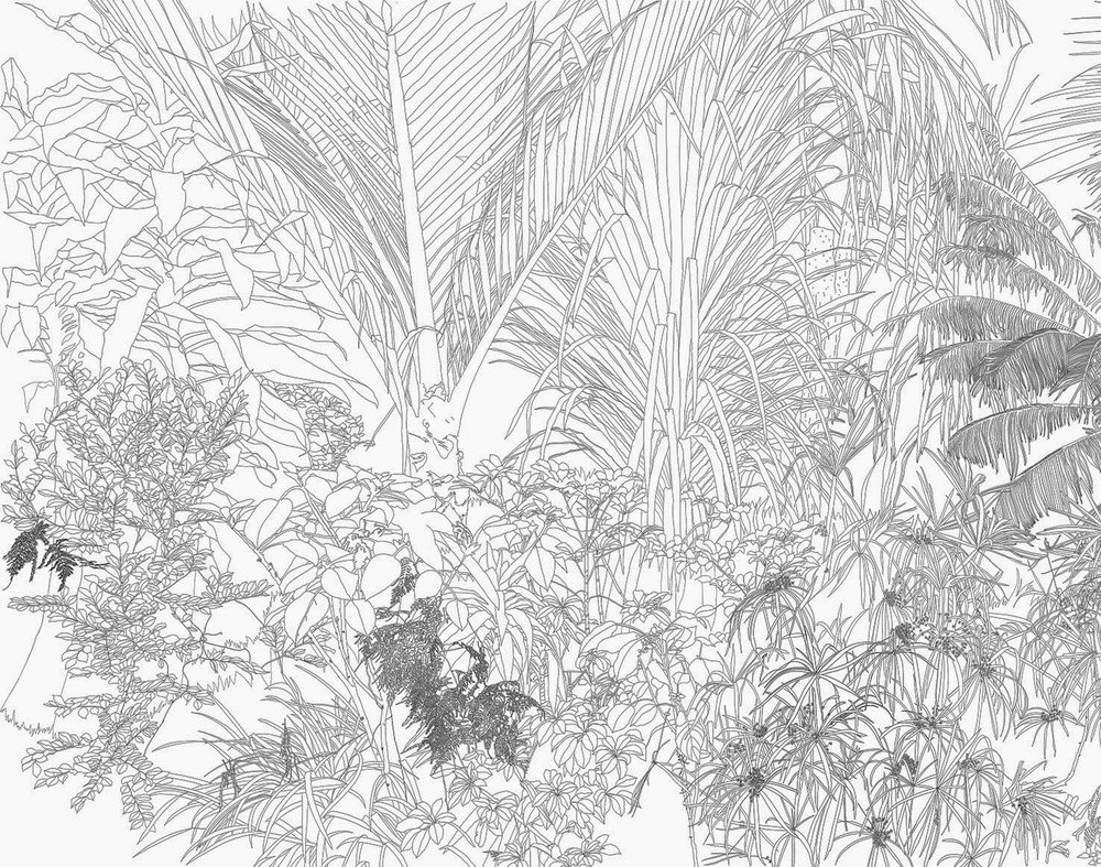 papier peint jungle façon bande dessinée