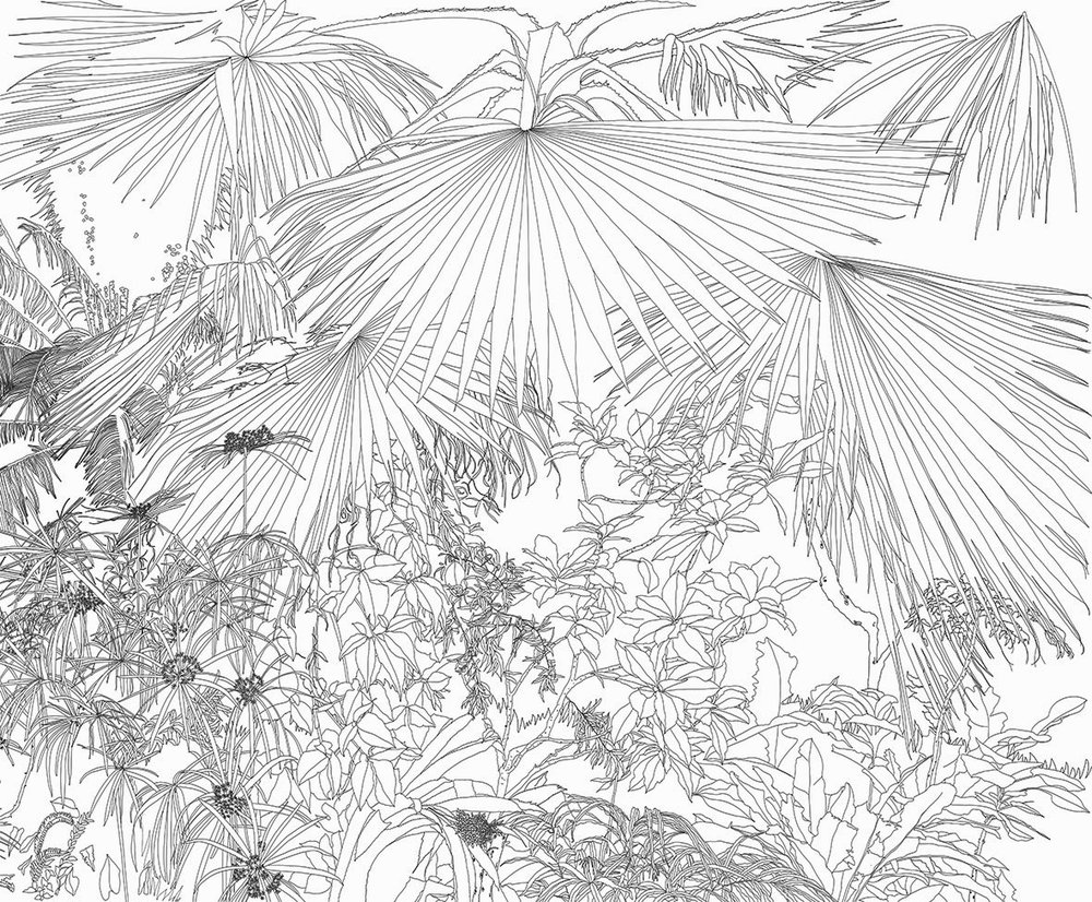 papier peint jungle cartoon en noir et blanc 2