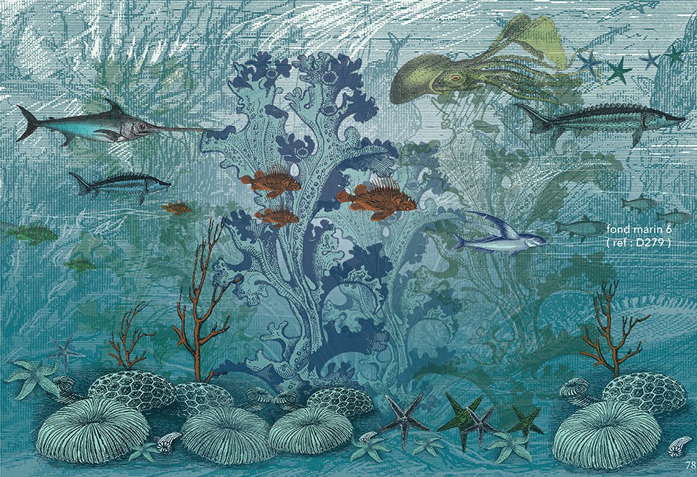 Fonds Marins 6