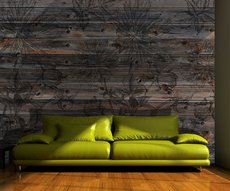 chrysanthemes