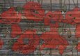 Coquelicots