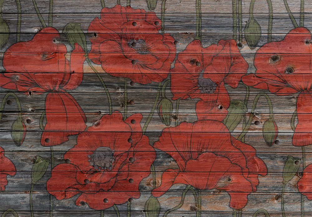 Coquelicots