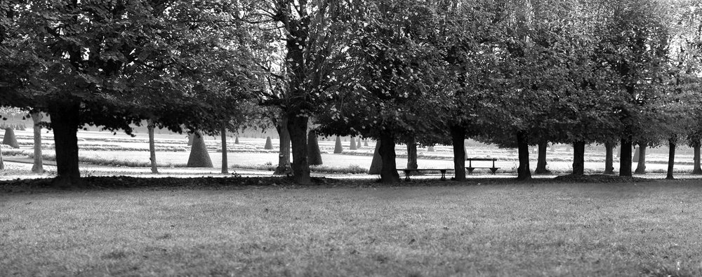 fontainebleau 3 noir & blanc