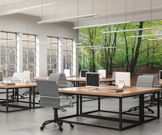 Forêt 7 - Couleurs d'Automne