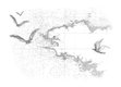 papier peint Carte blanche