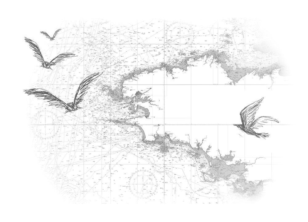 papier peint Carte blanche