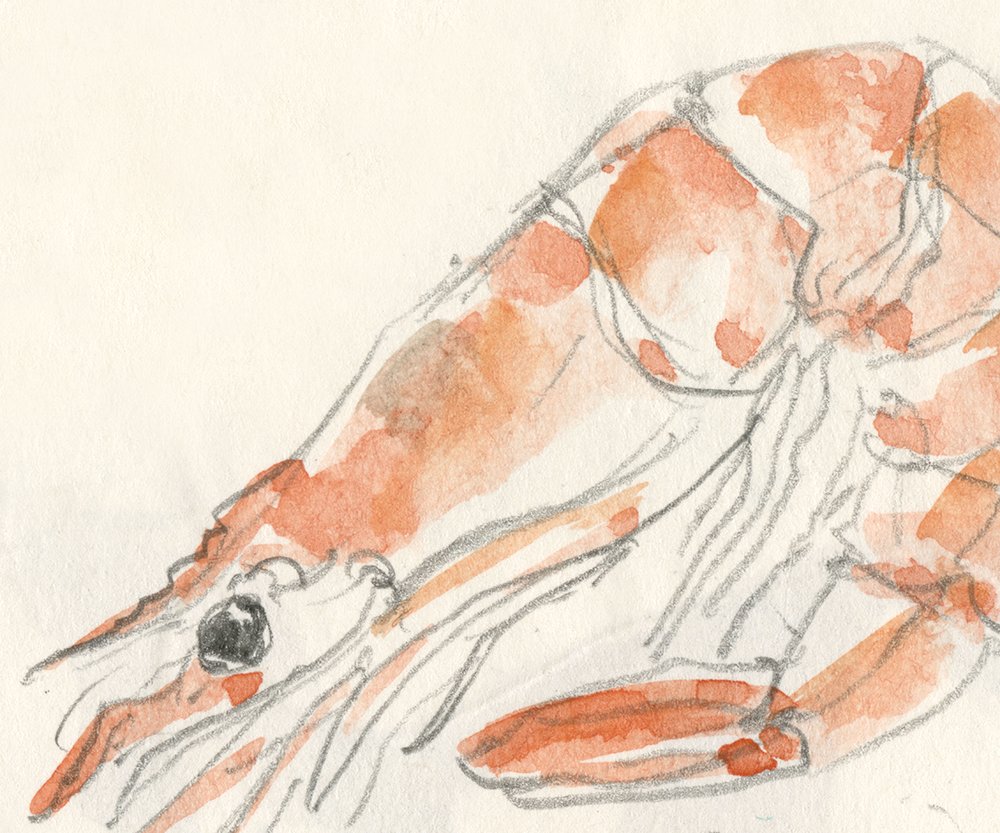 le dîner amandes et crevettes