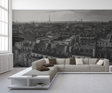 vue panoramique de Paris en noir et blanc